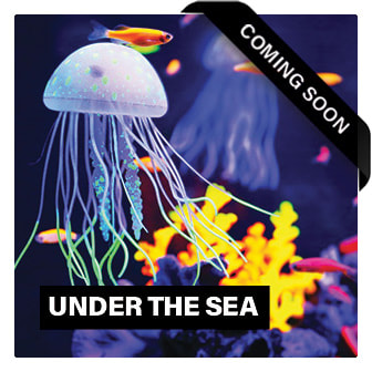 Under The Sea Theme Event in UAE + KSA